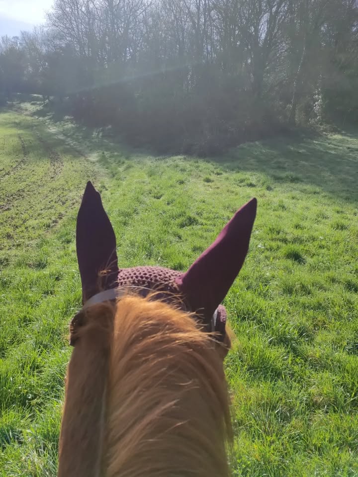 Centre équestre La Ballarade