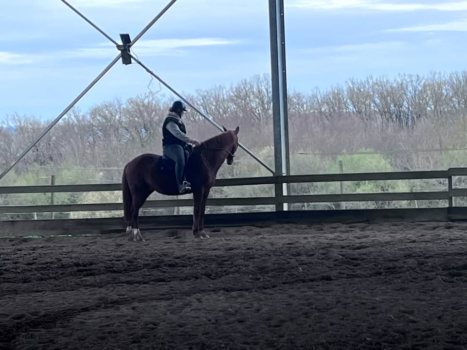 Centre équestre La Ballarade