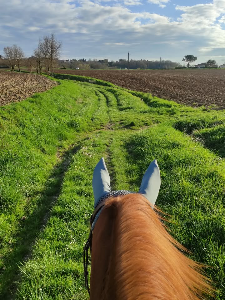 Centre équestre La Ballarade