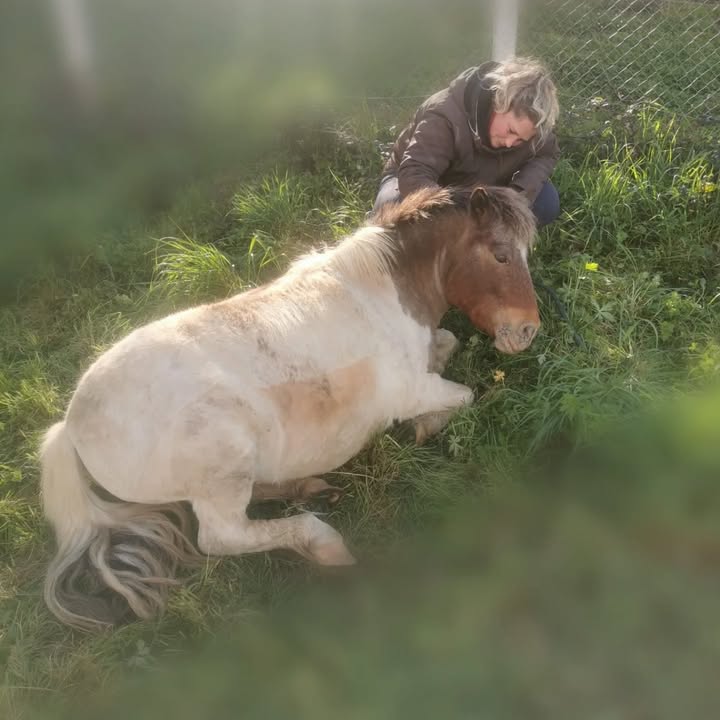 Centre équestre La Ballarade