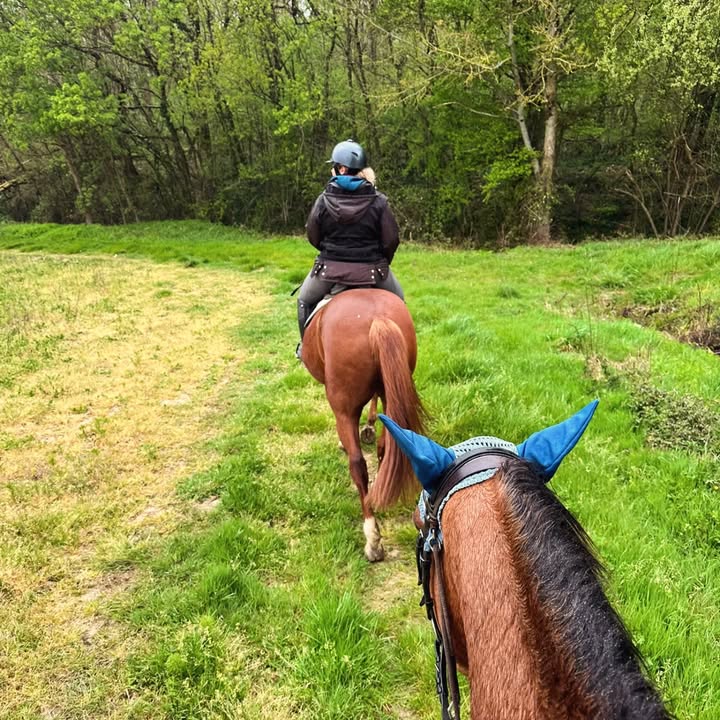 Centre équestre La Ballarade