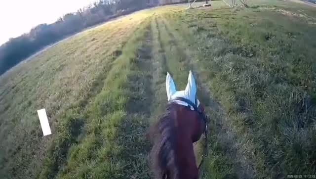 Centre équestre La Ballarade