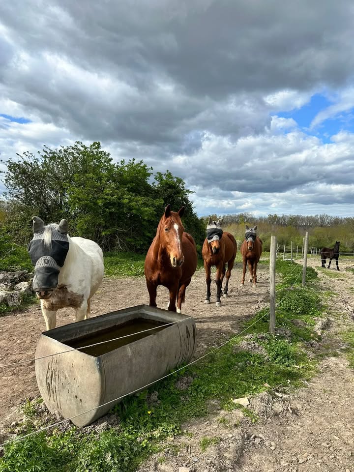 Centre équestre La Ballarade