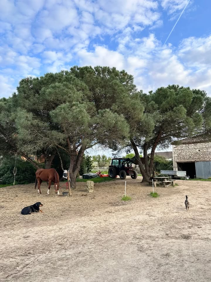Centre équestre La Ballarade