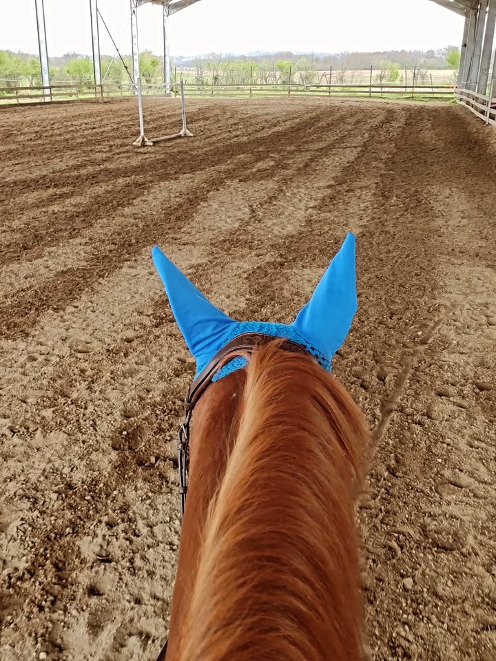 Centre équestre La Ballarade