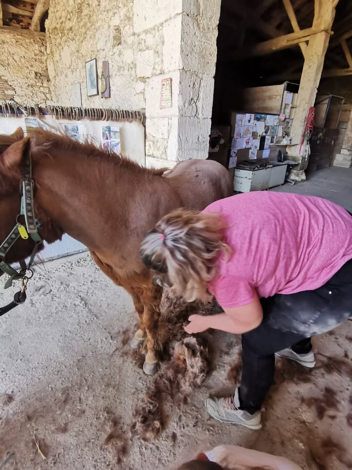 Centre équestre La Ballarade