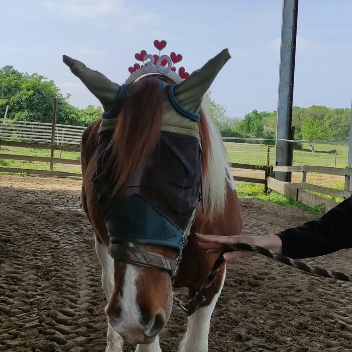 Centre équestre La Ballarade