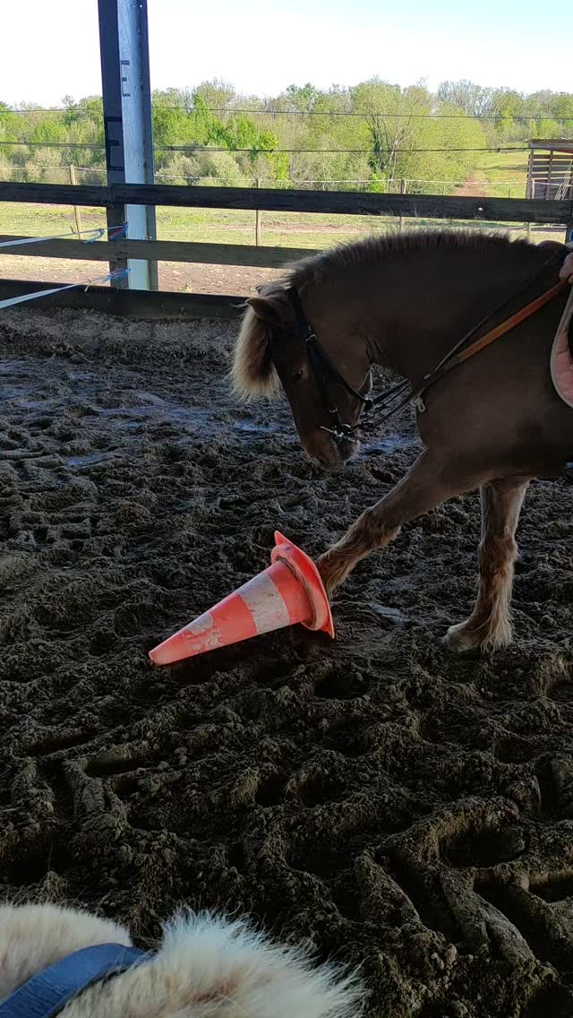 Centre équestre La Ballarade