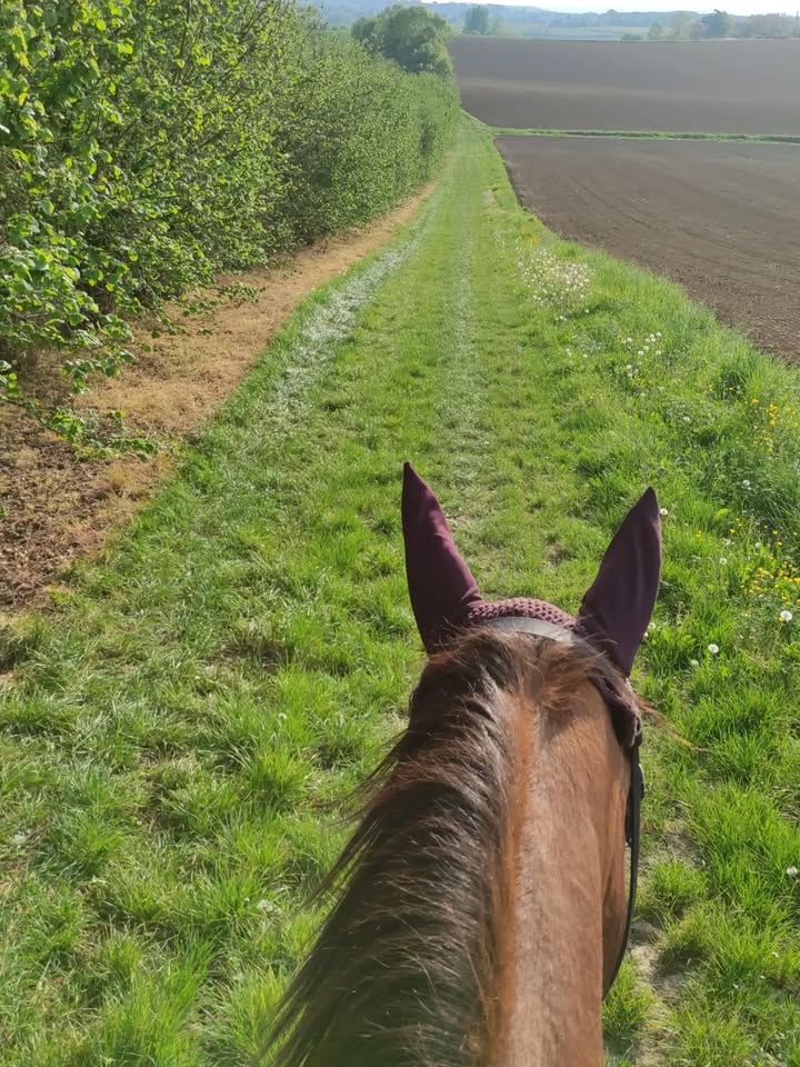 Centre équestre La Ballarade