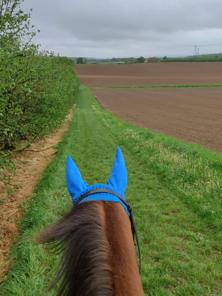 Centre équestre La Ballarade