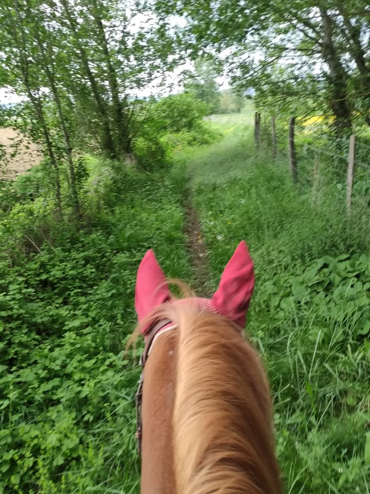 Centre équestre La Ballarade